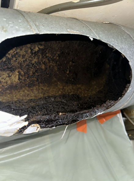 Industrial Kitchen Hygiene